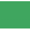 Digixo Fond Papier de Studio 1,36 x 11m - Chroma Green