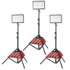 Godox LEDP260C Trio Tripod Kit