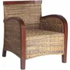 vidaXL Fauteuil Rotin tissé à la main