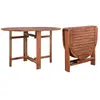 vidaXL Table de jardin 120 x 70 x 74 cm Bois d'acacia massif