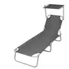 vidaXL Chaise longue pliable avec auvent Acier Gris