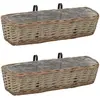 vidaXL Jardinière de balcon 2 pcs Osier avec doublure en PE 60 cm