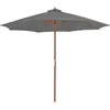 vidaXL Parasol d'extérieur avec mât en bois 300 cm Anthracite