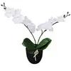 vidaXL Plante artificielle avec pot Orchidée 30 cm Blanc