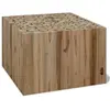 vidaXL Table basse Teck authentique 50 x 50 x 35 cm