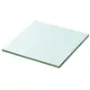 vidaXL Panneau pour étagère Verre transparent 30 x 30 cm