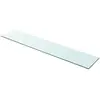 vidaXL Panneau pour étagère Verre transparent 100 x 20 cm
