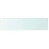 vidaXL Panneau pour étagère Verre transparent 80 x 20 cm