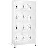 vidaXL Armoire à casier avec 12 compartiments 90x45x180 cm