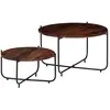 vidaXL Ensemble de table basse 2 pcs Bois de Sesham massif 60 x 35 cm