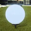 vidaXL Lampe d'allée à LED 50 cm avec piquet de sol