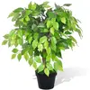 vidaXL Palmier Artificiel Plastique avec Pot 60 cm