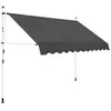 vidaXL Auvent manuel rétractable 300 cm Anthracite