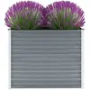 vidaXL Lit surélevé de jardin Acier galvanisé 100x40x77 cm Gris