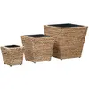vidaXL Lits surélevés de jardin 3 pcs Jacinthe d'eau