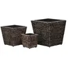 vidaXL Lits surélevés de jardin 3 pcs Jacinthe d'eau Marron