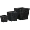 vidaXL Lits surélevés de jardin 3 pcs Jacinthe d'eau Noir