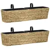 vidaXL Jardinières 2 pcs Jacinthe d'eau