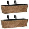 vidaXL Jardinières 2 pcs Jacinthe d'eau