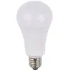 Schiefer Lighting SPL | LED Ampoule à Broches | G9  | 2W Dimmable