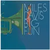 Big Fun Vinyle Gatefold 180 gr