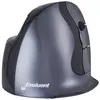 Bakkerelkhuizen Souris Ergonomique Sans Fil Evoluent D
