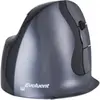 Souris Verticale Ergonomique Mouse D Small Sans Fil 2.4 Ghz