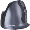 Bakkerelkhuizen Souris Ergonomique Sans Fil Evoluent D