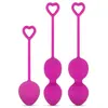 EasyToys Online Only Ensemble de boules de cône lestées - Fuchsia