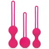 EasyToys Online Only Ensemble de boules de Kegel lestées - Rose