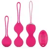 EasyToys Online Only Ensemble de boules de Kegel avec télécommande - Rose