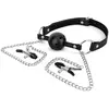 Bedroom Fantasies - Collier avec Laisse - Argent