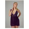 Christine Nuisette & String Lieve - violet