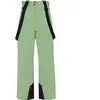 Protest Prtrowens Snowpants - Pantalon ski homme Marl Green XS