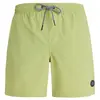 Protest Faster - Maillot de bain homme AlgaeGreen XXL