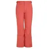 Protest Carmacks - Pantalon ski femme Rusticrust S