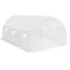 vidaXL Serre 13,5 m² 450x300x200 cm