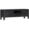 vidaXL Meuble TV Noir 118 x 30 x 40 cm Bois de manguier massif
