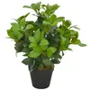 vidaXL Plante artificielle avec pot Laurier Vert 40 cm