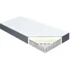 vidaXL Matelas de sommier tapissier 200x80x20 cm