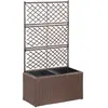 vidaXL Lit surélevé treillis 2 pots 58x30x107cm Résine tressée Marron