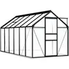 vidaXL Serre avec cadre de base Anthracite Aluminium 7,03 m²