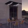vidaXL Auvent manuel rétractable avec LED 300x250 cm Anthracite