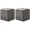 vidaXL 2 pcs Poufs Gris 30 x 30 x 30 cm Tissu velours