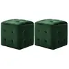 vidaXL 2 pcs Poufs Vert 30 x 30 x 30 cm Tissu velours