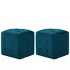 vidaXL 2 pcs Poufs Bleu 30 x 30 x 30 cm Tissu velours