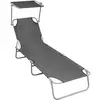 vidaXL Chaise longue pliable avec auvent Gris Aluminium