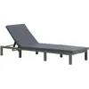 vidaXL Chaise longue avec coussin Résine tressée Anthracite