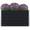 vidaXL Jardinière 100 x 100 x 45 cm Acier galvanisé Anthracite