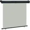 vidaXL Auvent latéral de balcon 160x250 cm Gris